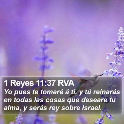 1 Reyes 11:37 RVA Bible Verse Image