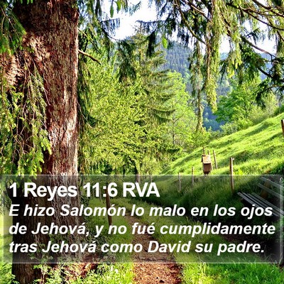 1 Reyes 11:6 RVA Bible Verse Image