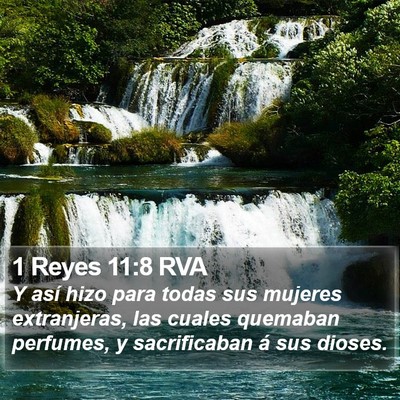 1 Reyes 11:8 RVA Bible Verse Image