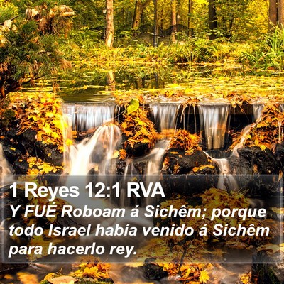 1 Reyes 12:1 RVA Bible Verse Image
