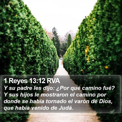 1 Reyes 13:12 RVA Bible Verse Image
