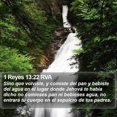 1 Reyes 13:22 RVA Bible Verse Image