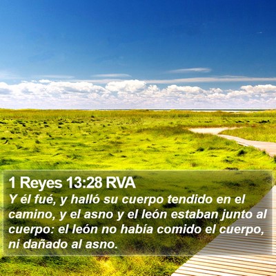 1 Reyes 13:28 RVA Bible Verse Image