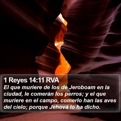1 Reyes 14:11 RVA Bible Verse Image