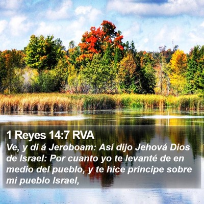 1 Reyes 14:7 RVA Bible Verse Image