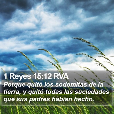1 Reyes 15:12 RVA Bible Verse Image