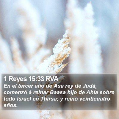 1 Reyes 15:33 RVA Bible Verse Image