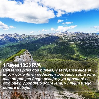 1 Reyes 18:23 RVA Bible Verse Image