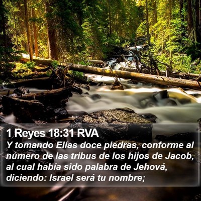 1 Reyes 18:31 RVA Bible Verse Image