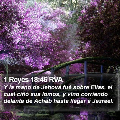 1 Reyes 18:46 RVA Bible Verse Image