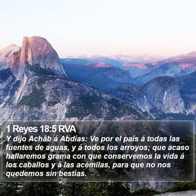 1 Reyes 18:5 RVA Bible Verse Image
