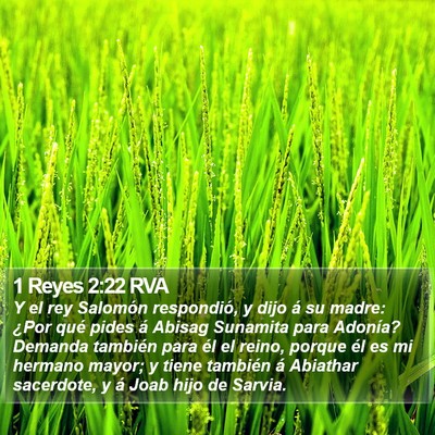 1 Reyes 2:22 RVA Bible Verse Image