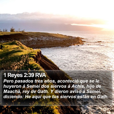 1 Reyes 2:39 RVA Bible Verse Image