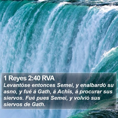 1 Reyes 2:40 RVA Bible Verse Image