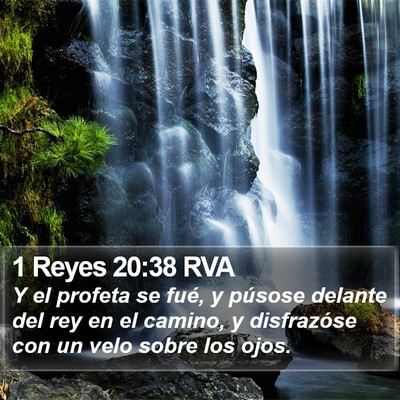 1 Reyes 20:38 RVA Bible Verse Image