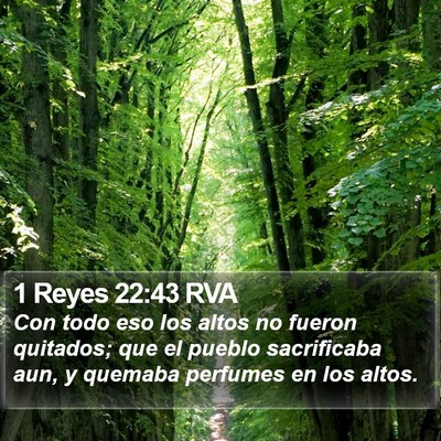 1 Reyes 22:43 RVA Bible Verse Image