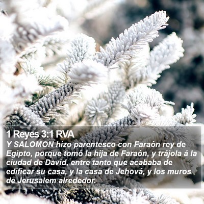 1 Reyes 3:1 RVA Bible Verse Image