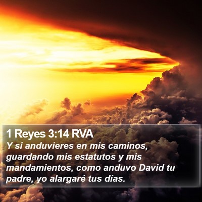 1 Reyes 3:14 RVA Bible Verse Image