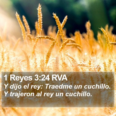 1 Reyes 3:24 RVA Bible Verse Image