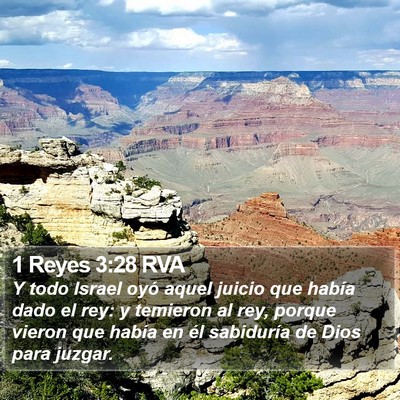 1 Reyes 3:28 RVA Bible Verse Image