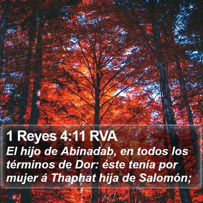 1 Reyes 4:11 RVA Bible Verse Image