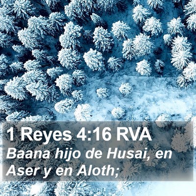1 Reyes 4:16 RVA Bible Verse Image
