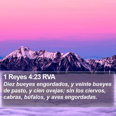 1 Reyes 4:23 RVA Bible Verse Image