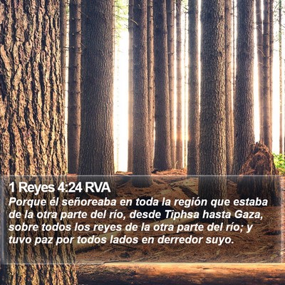 1 Reyes 4:24 RVA Bible Verse Image