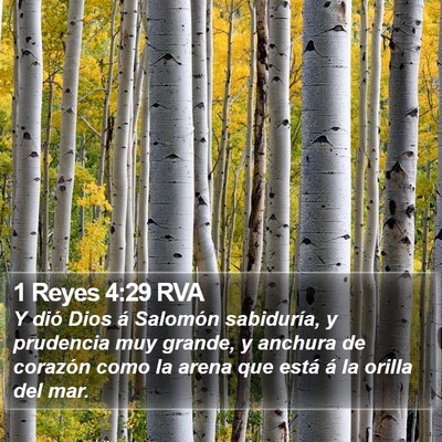 1 Reyes 4:29 RVA Bible Verse Image