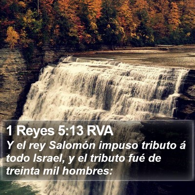 1 Reyes 5:13 RVA Bible Verse Image