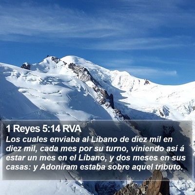 1 Reyes 5:14 RVA Bible Verse Image