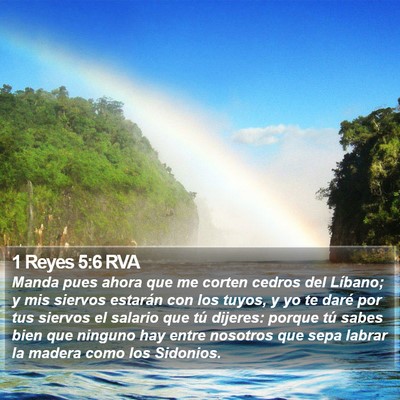 1 Reyes 5:6 RVA Bible Verse Image