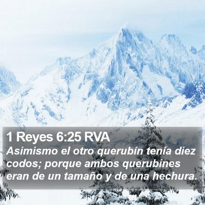 1 Reyes 6:25 RVA Bible Verse Image
