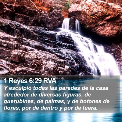 1 Reyes 6:29 RVA Bible Verse Image