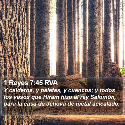 1 Reyes 7:45 RVA Bible Verse Image