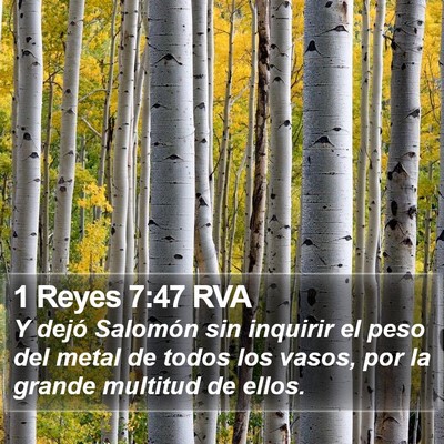 1 Reyes 7:47 RVA Bible Verse Image