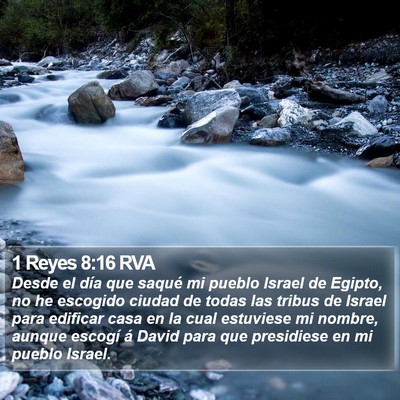 1 Reyes 8:16 RVA Bible Verse Image
