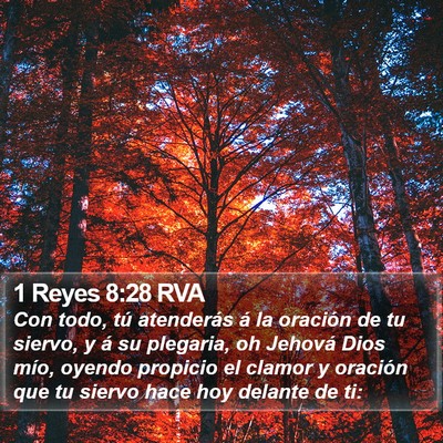 1 Reyes 8:28 RVA Bible Verse Image