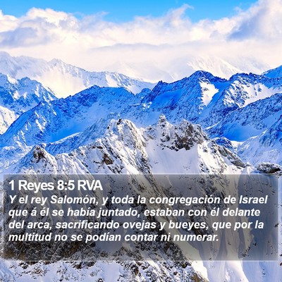 1 Reyes 8:5 RVA Bible Verse Image