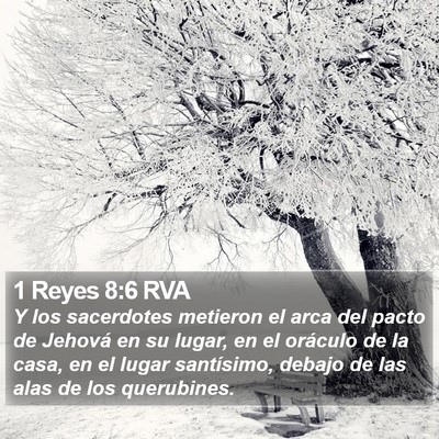 1 Reyes 8:6 RVA Bible Verse Image