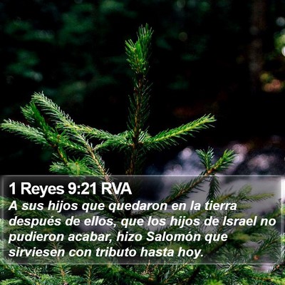 1 Reyes 9:21 RVA Bible Verse Image