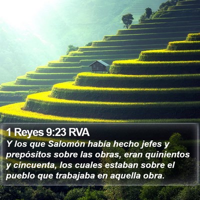 1 Reyes 9:23 RVA Bible Verse Image