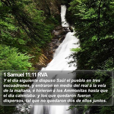 1 Samuel 11:11 RVA Bible Verse Image