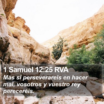 1 Samuel 12:25 RVA Bible Verse Image