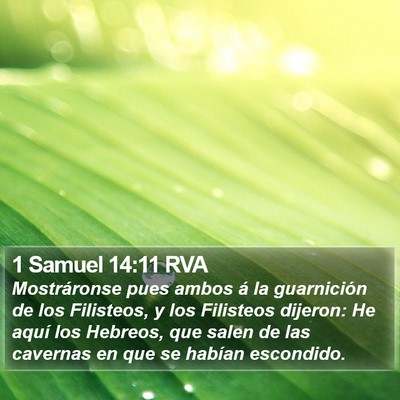 1 Samuel 14:11 RVA Bible Verse Image
