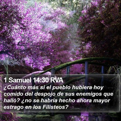 1 Samuel 14:30 RVA Bible Verse Image