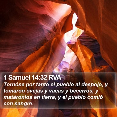 1 Samuel 14:32 RVA Bible Verse Image