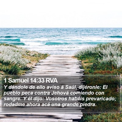1 Samuel 14:33 RVA Bible Verse Image