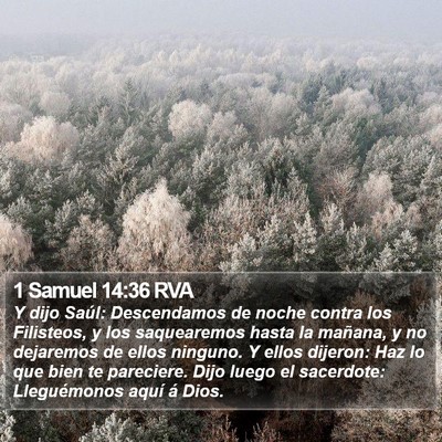 1 Samuel 14:36 RVA Bible Verse Image