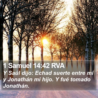 1 Samuel 14:42 RVA Bible Verse Image